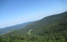 Landschaft